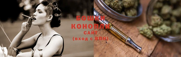гидра Козловка