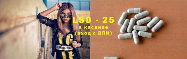 гидра Козловка