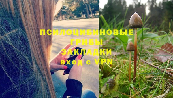 гидра Козловка