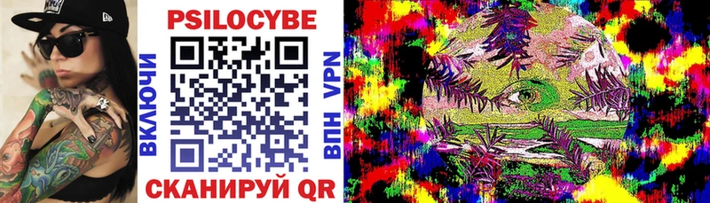 хочу   Курчатов  Галлюциногенные грибы Psilocybe 