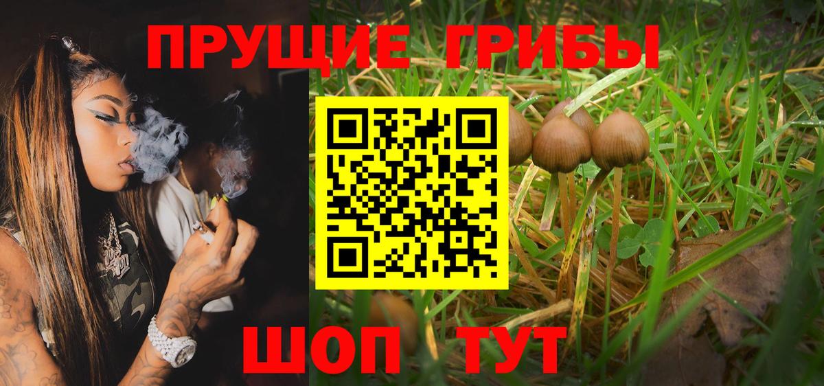МДМА Курчатов