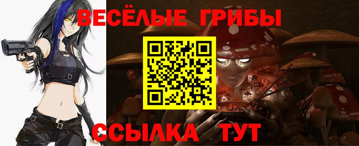 Курчатов  Псилоцибиновые грибы мухоморы  Вход с VPN 