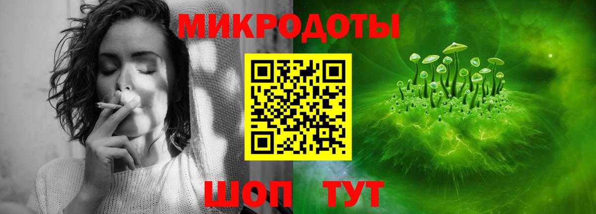Галлюциногенные грибы Psilocybe Курчатов